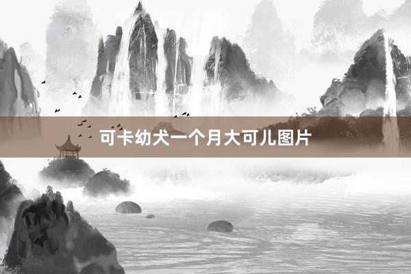 可卡幼犬一个月大可儿图片