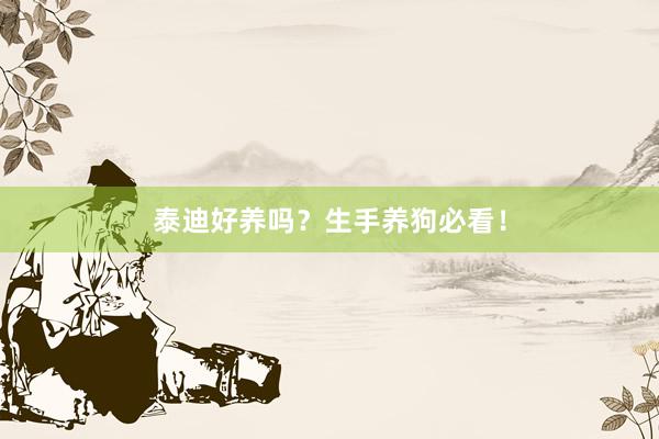 泰迪好养吗？生手养狗必看！