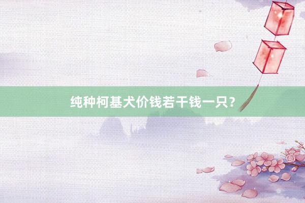 纯种柯基犬价钱若干钱一只？